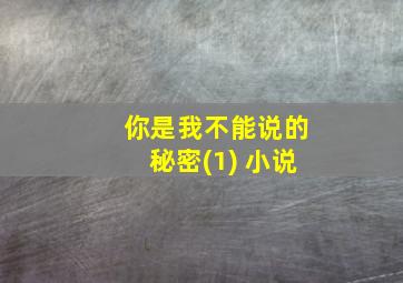 你是我不能说的秘密(1) 小说